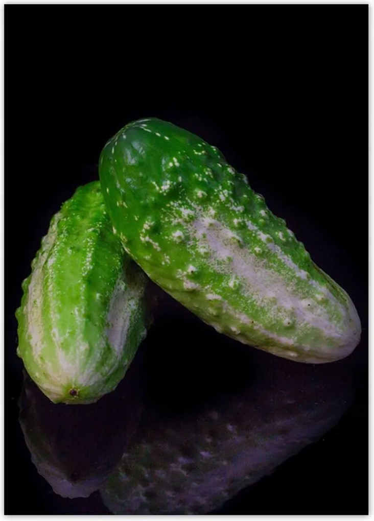 Poszterek 50x70 Zöld földuborka