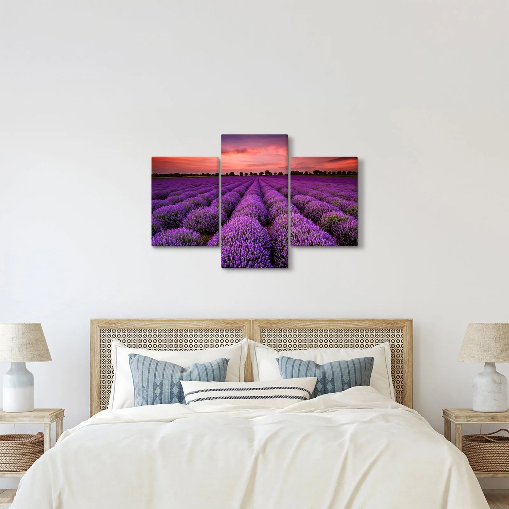 Kép - Levendula mező (90x60 cm)