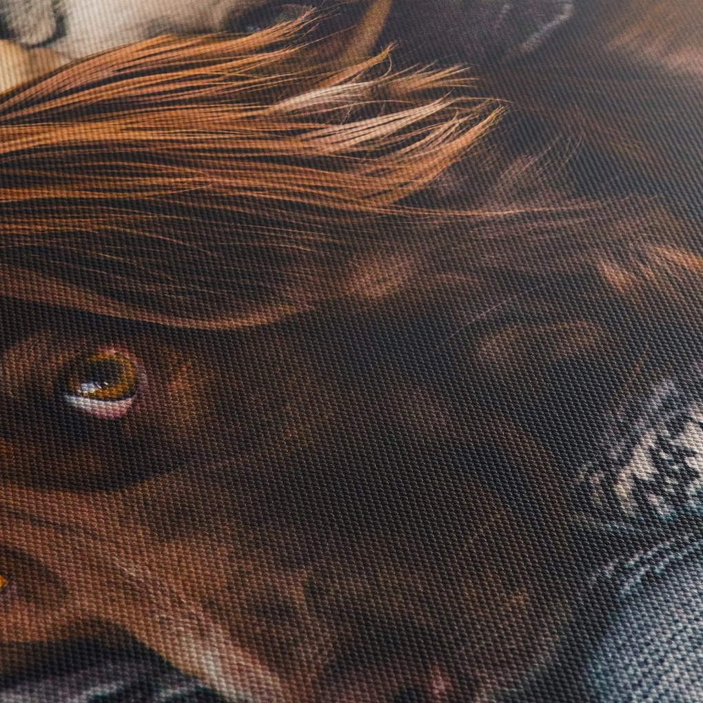 Egy kép fekvő kutyákról (120x50 cm)