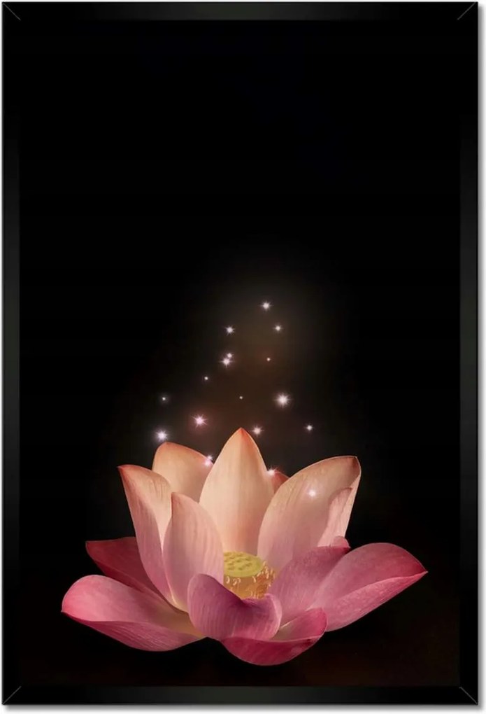 Poszter keretben 40x60 Rózsaszín lótuszvirág
