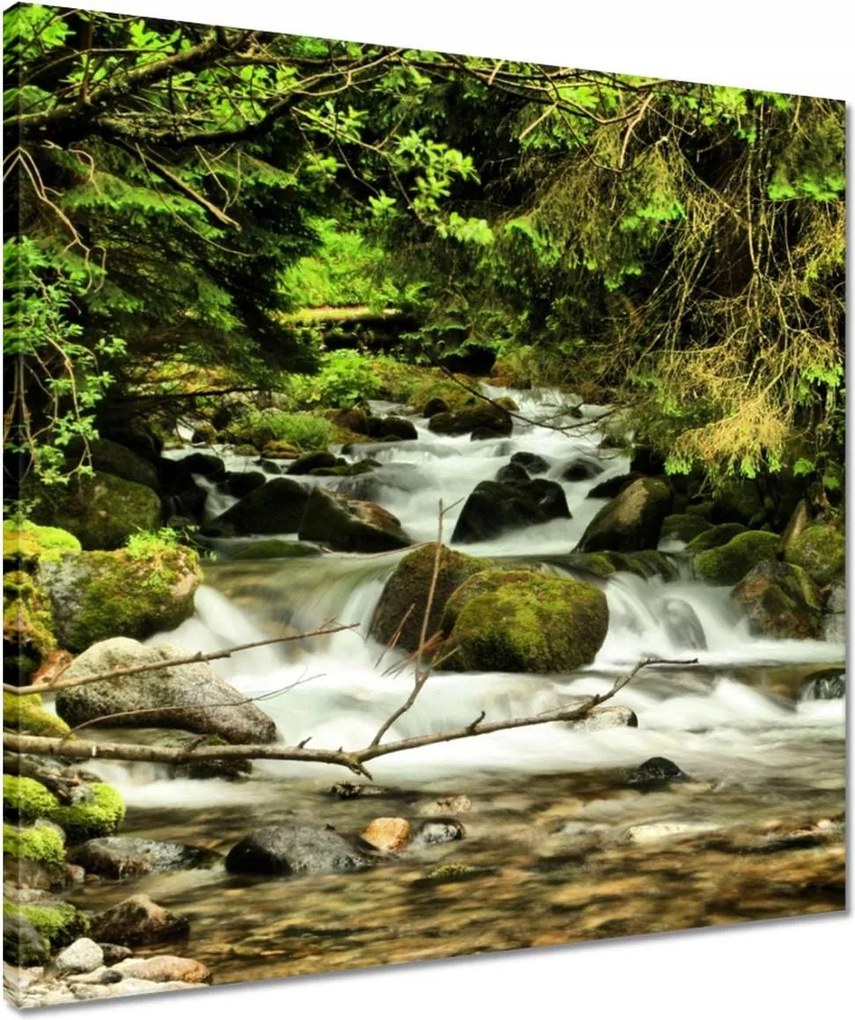 Vászonkép 50x50 Patak a hegyekben