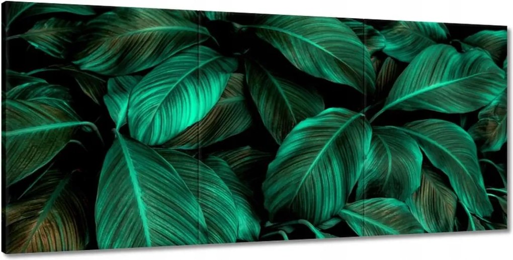 Vászonkép 210x100 Gyönyörű türkiz levelek