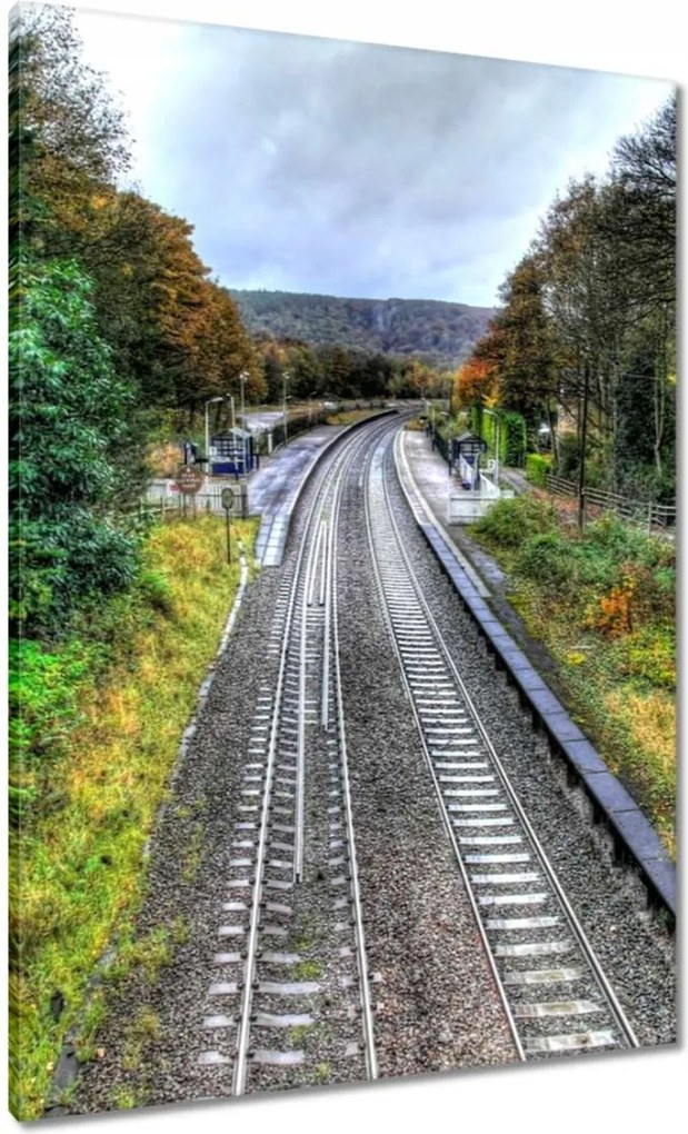 Festmények 70x100 Pálya