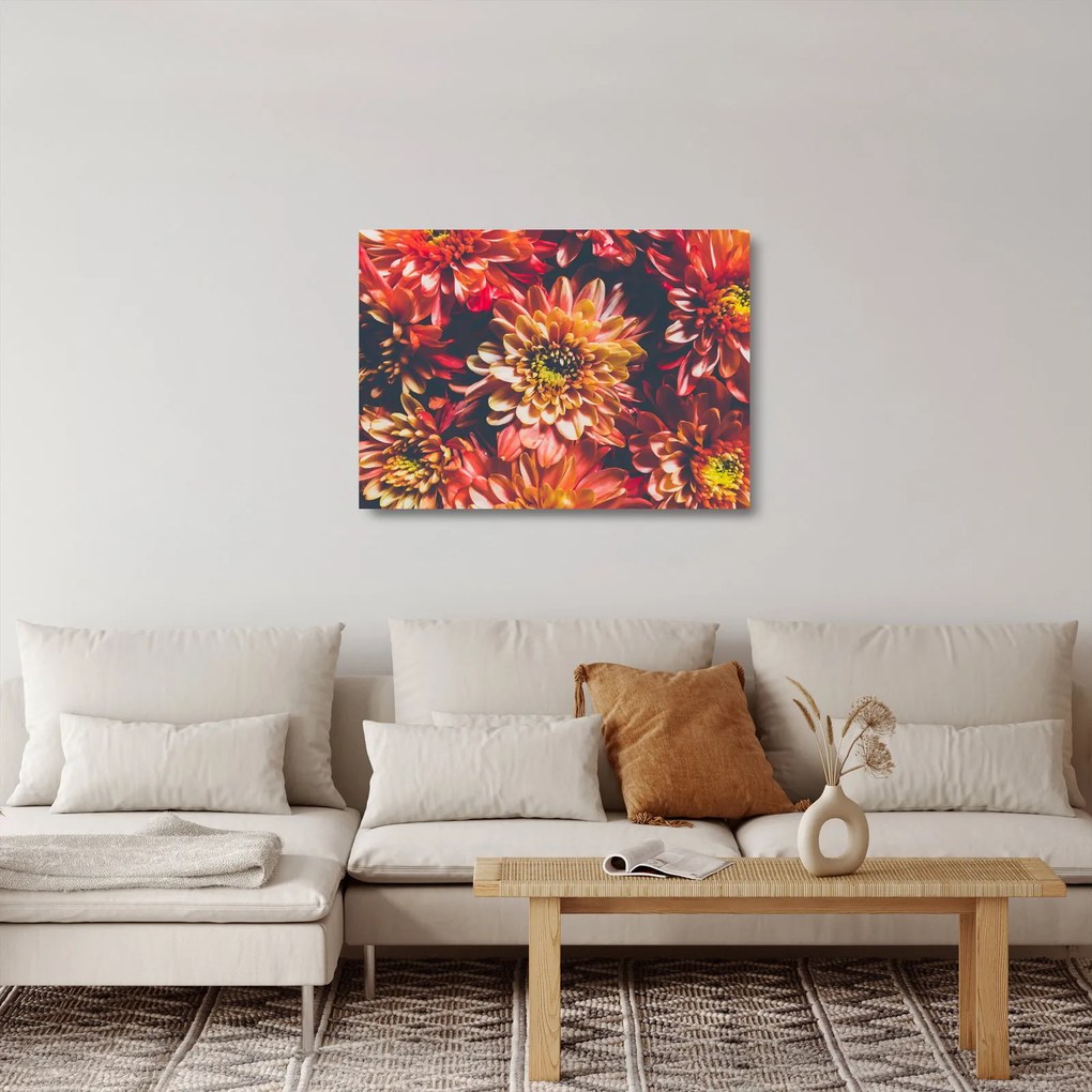 Kép - Krizantém (üvegen) (70x50 cm)