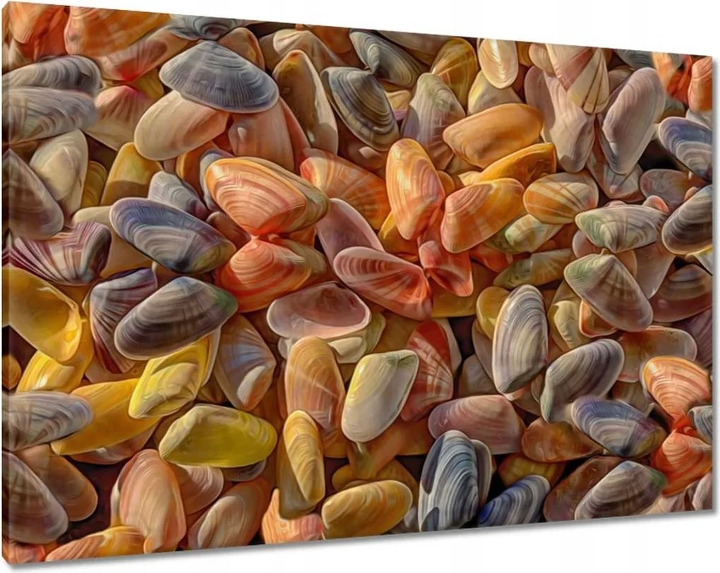 Vászonkép 100x70 Színes kagylók nyomtatás