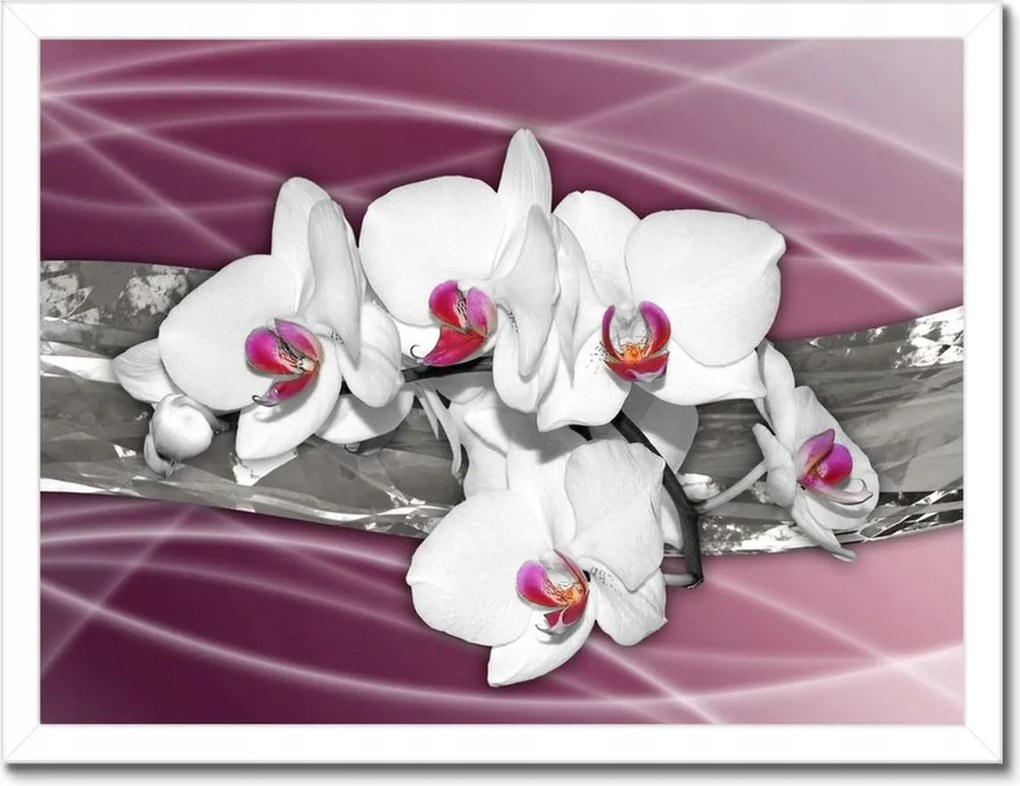 Poszterek keretben 40x30 Fehér orchideák rózsaszín alapon