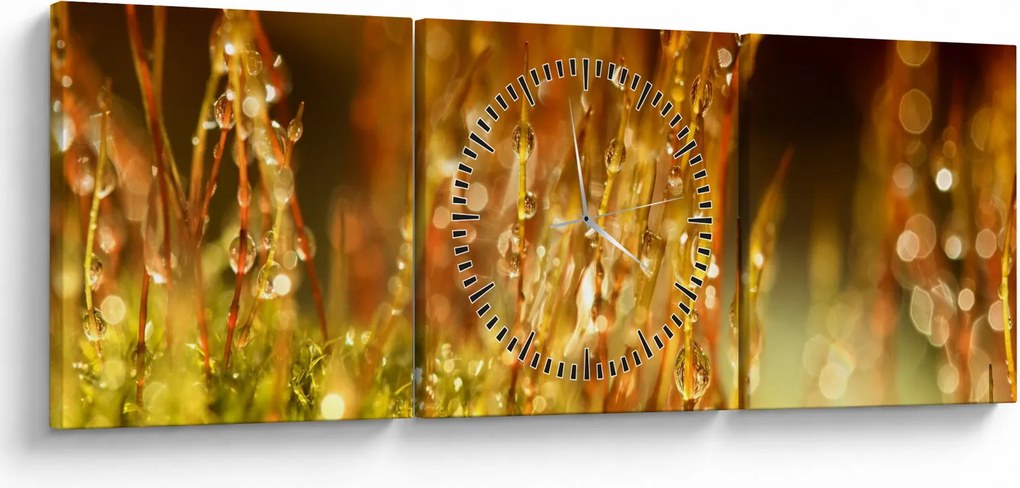 Kép - Harmat részlete (órával) (90x30 cm)