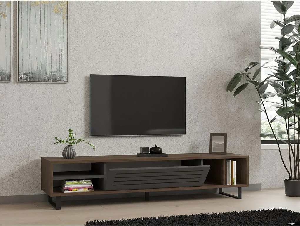 Eray Walnut and Anthracite TV-asztal