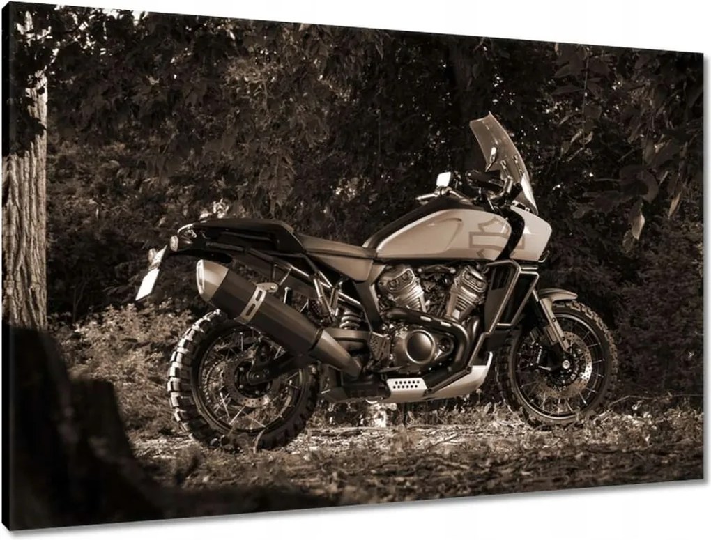 Vászonkép 90x60 Harley Davidson Motorkerékpár