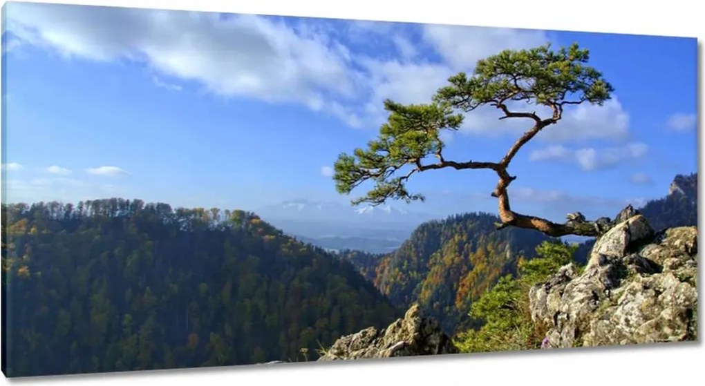 Festmények 115x55 Tájképek Kilátások Tájképek