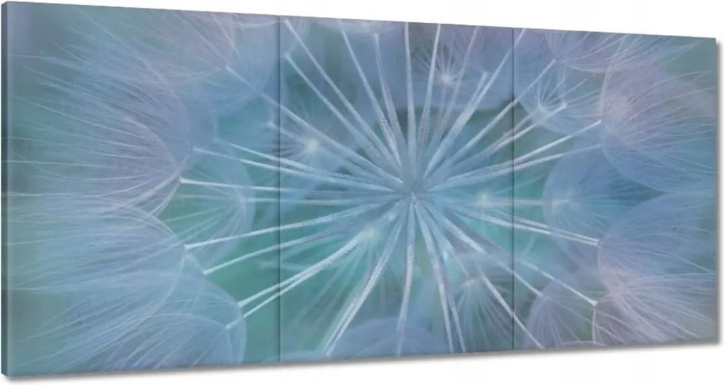 Vászonkép 120x60 Pitypang Virág Virágok