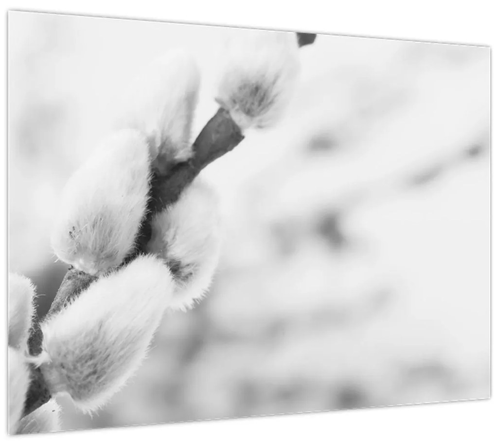 Üveg kép - A tavasz kezdete (70x50 cm)