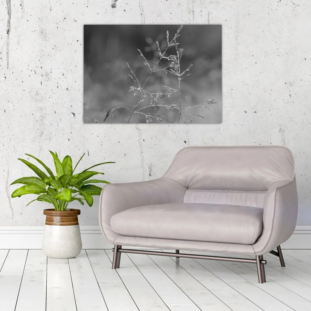 Üveg kép - Vidéki rét (70x50 cm)