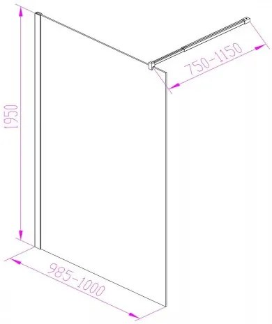 Walker 100x195 cm Walk in zuhanyfal