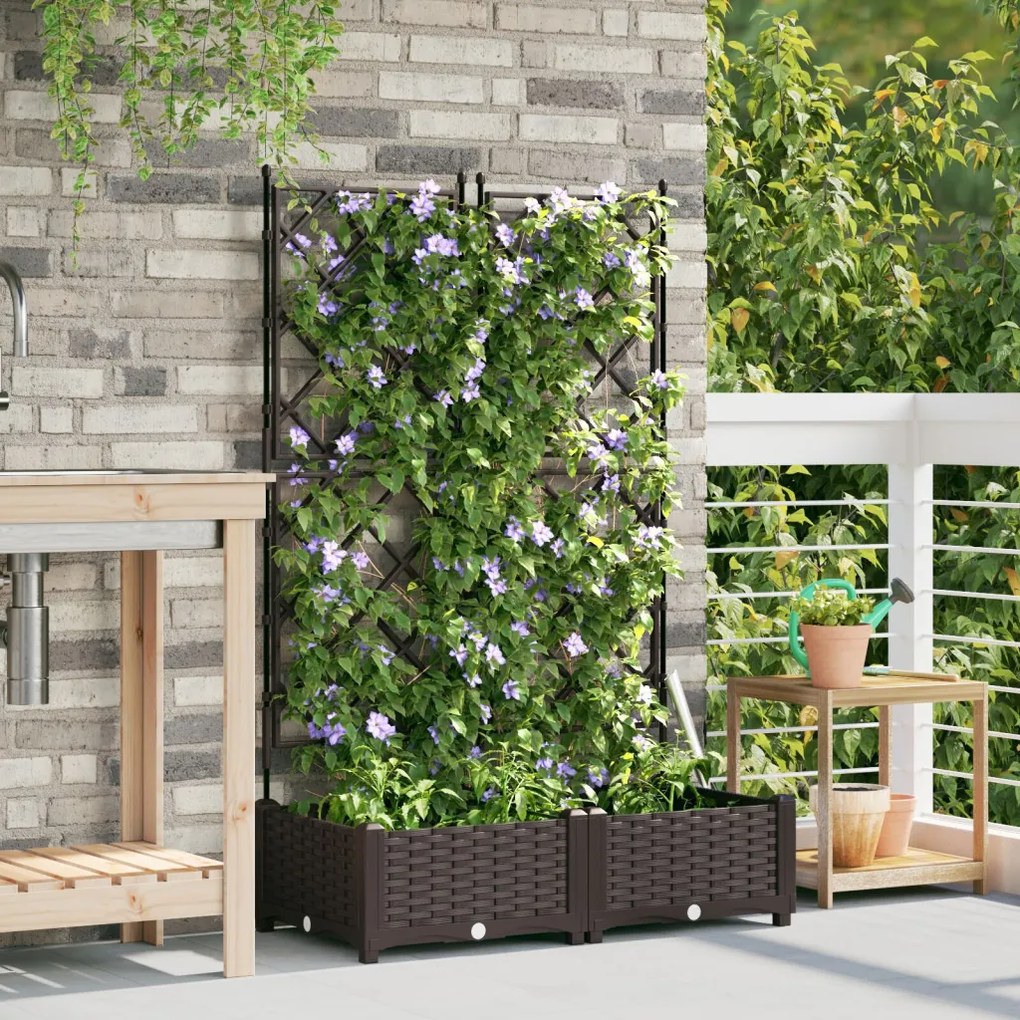 Kert Cserép Trellis-szel 2 db Barna 80x40x125.5 cm