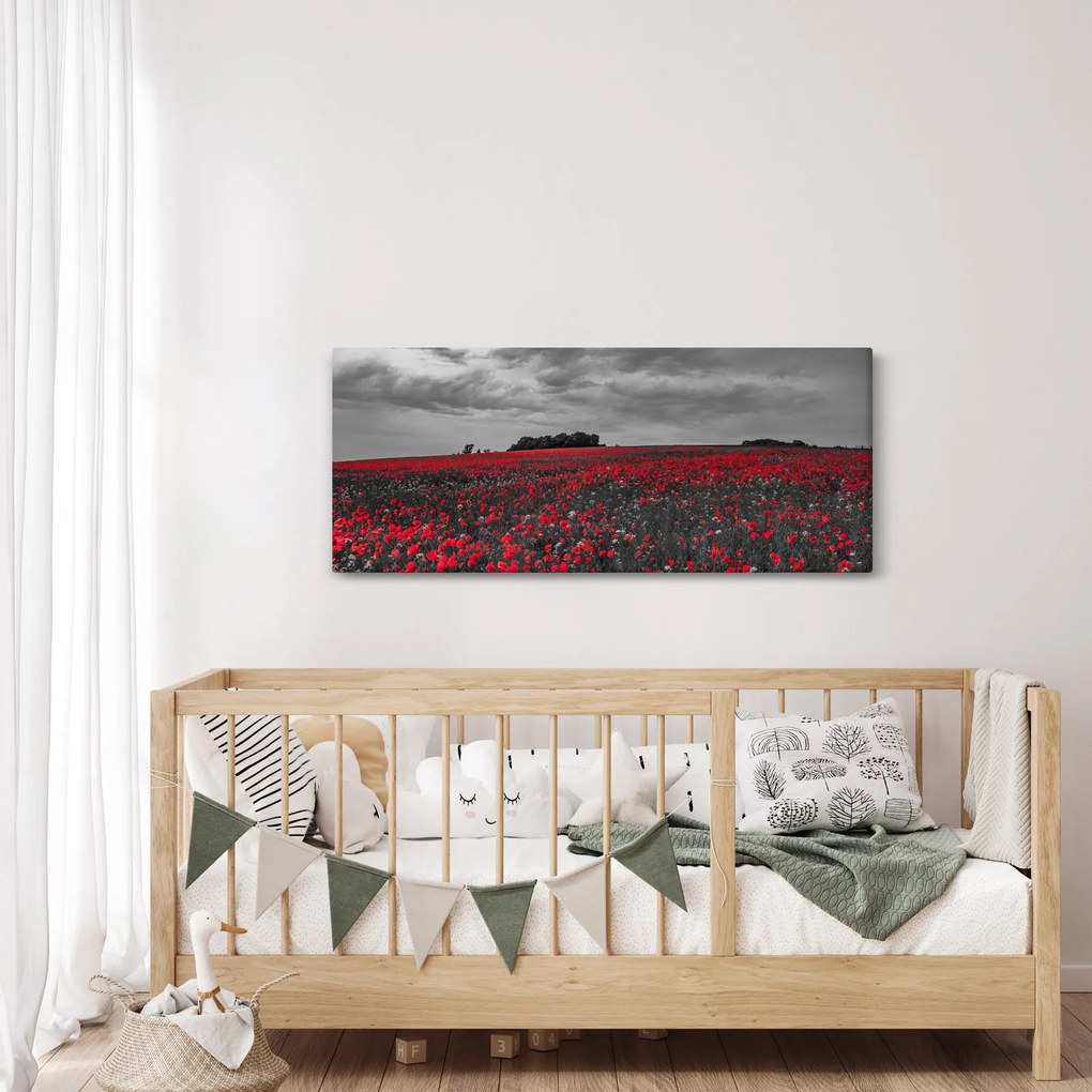 Pipacsos kép (120x50 cm)