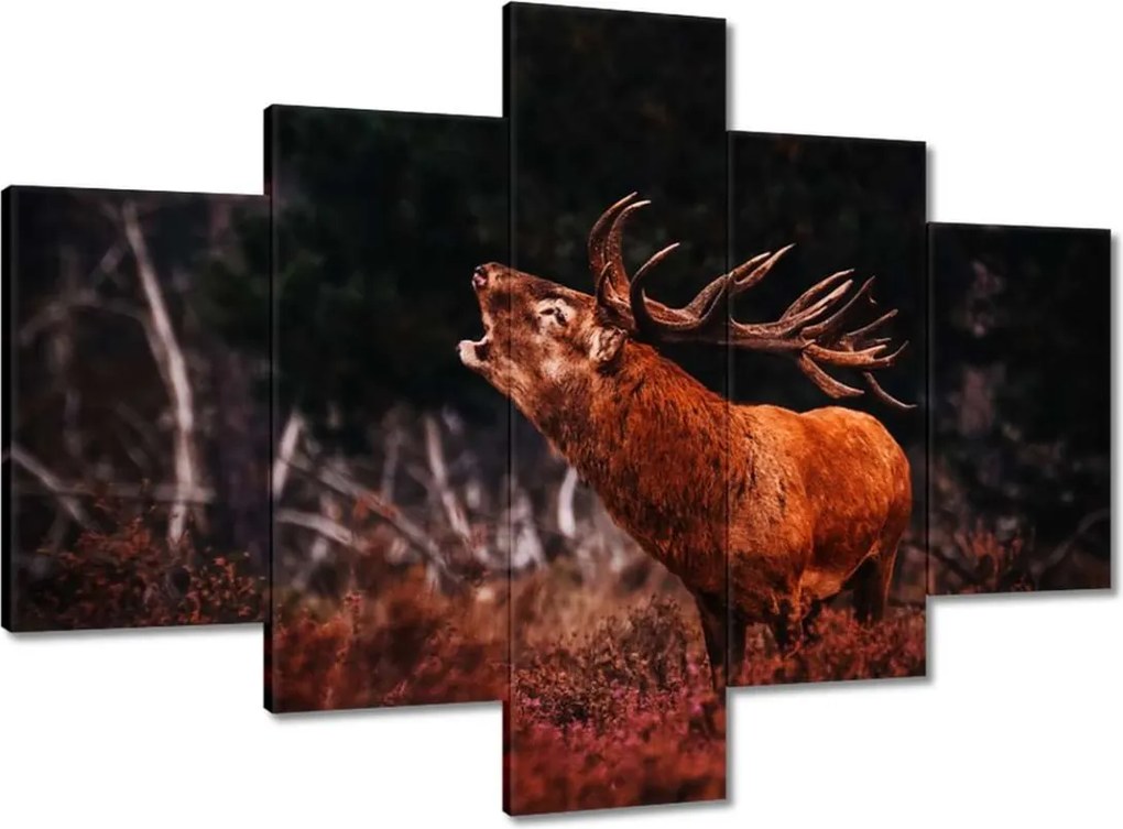 Vászonkép 100x70 Szarvas az erdőben