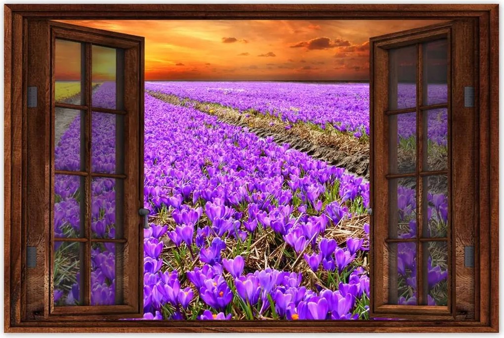 Poszterek 90x60 A krókuszok tengere