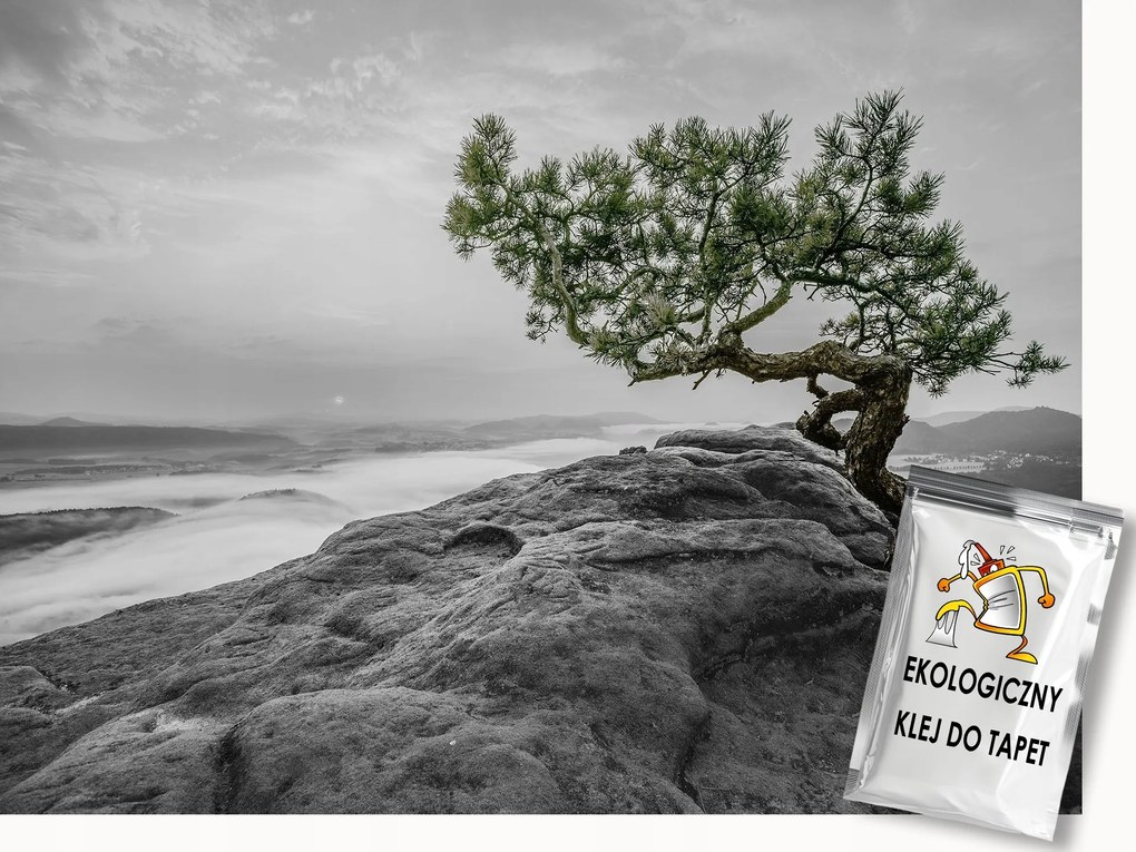 Fotótapéta Flizelina Tájkép Természet Fa Tenger Sziklák 250x175 ragasztó