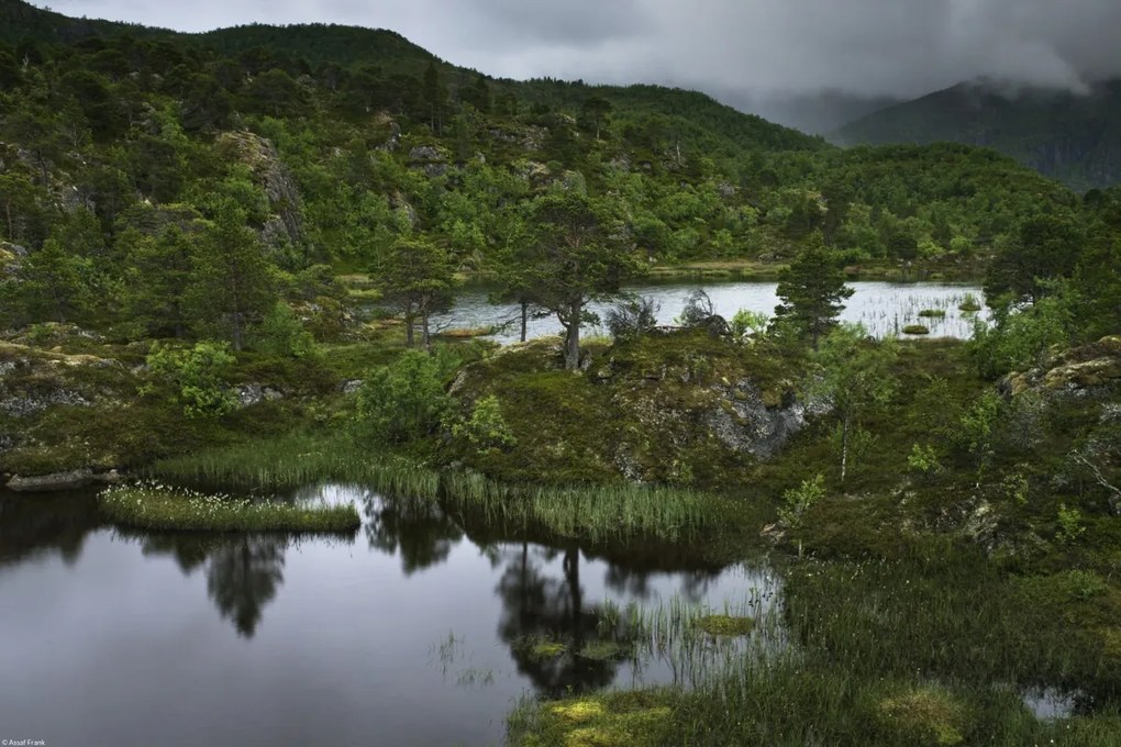 Poszter 45x30cm Norvég fjord 5, Assaf Frank