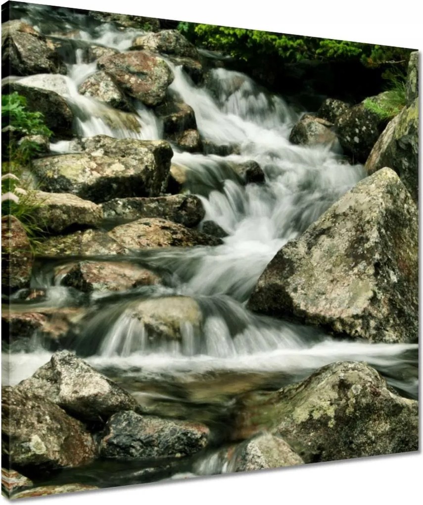 Vászonkép 50x50 Tátrai patak