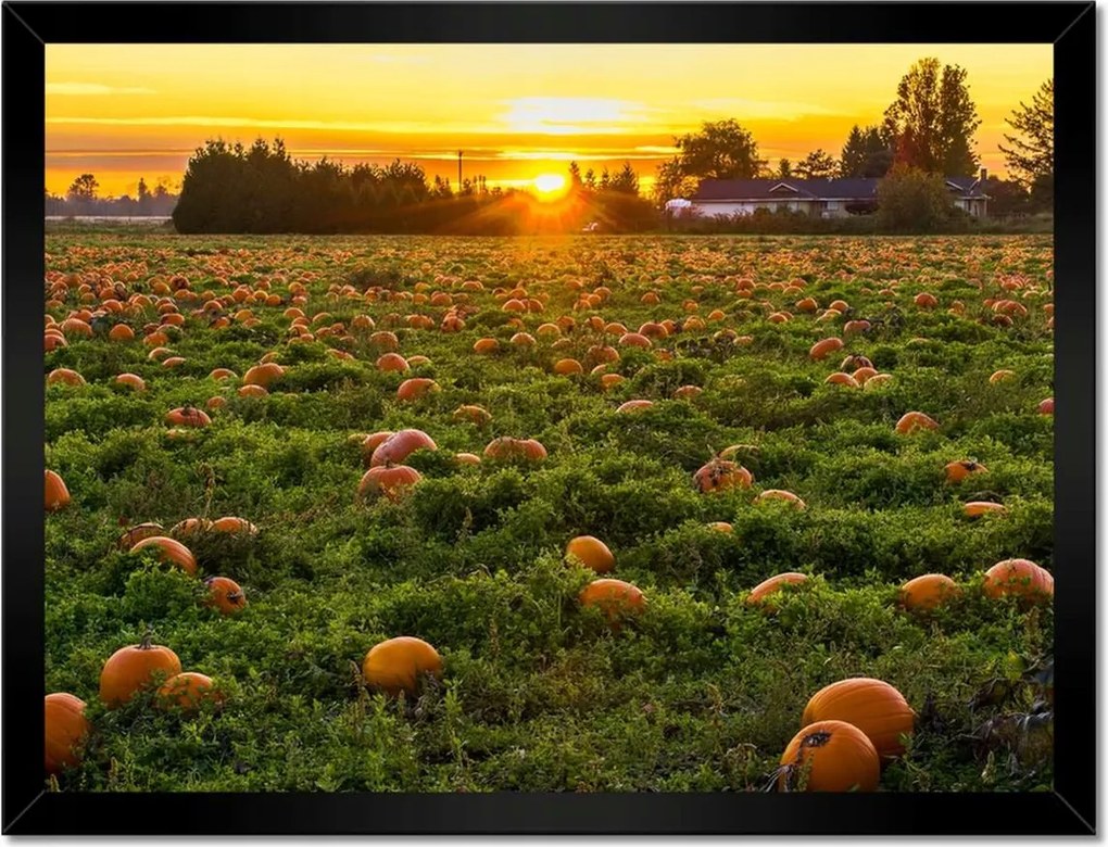 Poszterek keretben 40x30 Tájkép Látvány