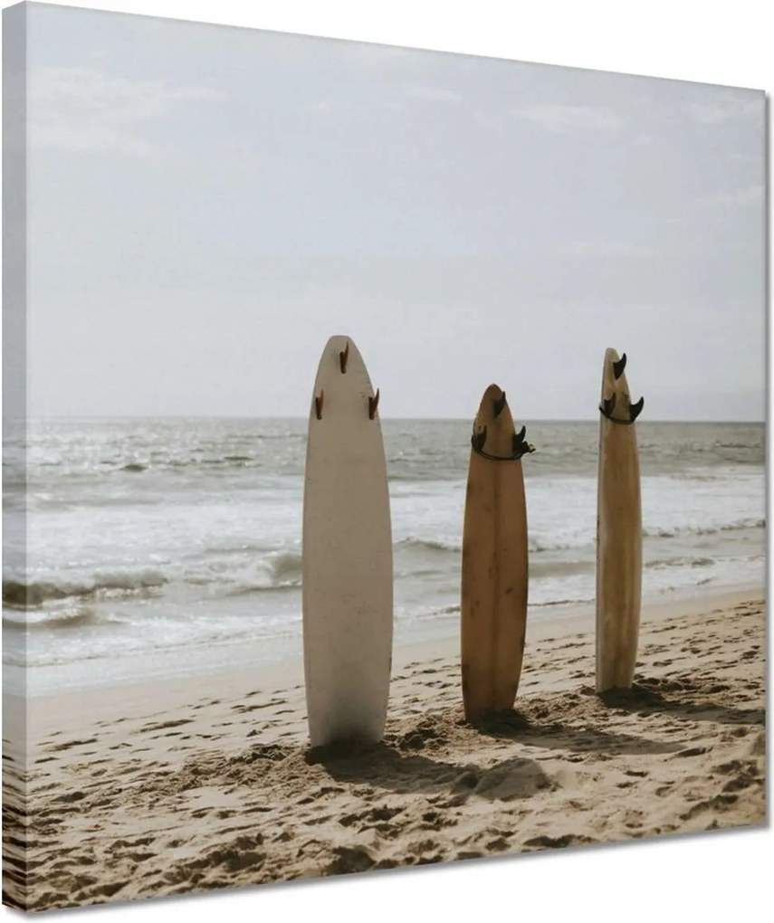 Vászonkép 30x30 Szörfdeszkák bézs