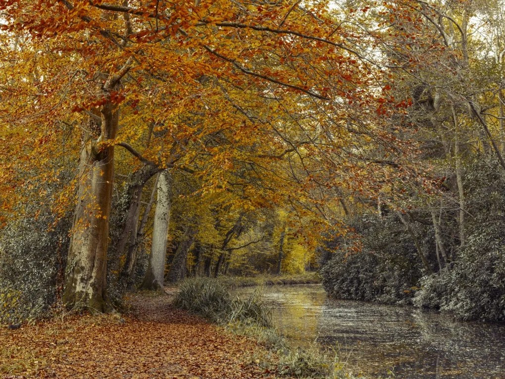 Poszter 40x30cm Ösvény a csatornánál, Assaf Frank