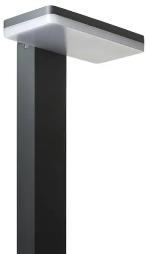 RED - Design Rendl - R12515 - LED Kültéri lámpa RINA LED/12W/230V IP44