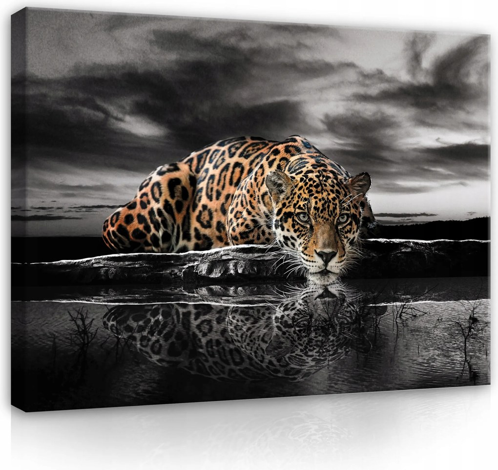 Vászonkép Tigris Állatok XXL Hálószoba Nappali Modern 100x70