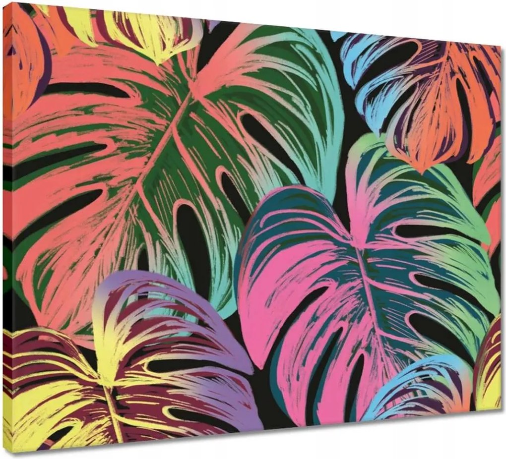 Vászonkép 50x40 Monstera levél színben