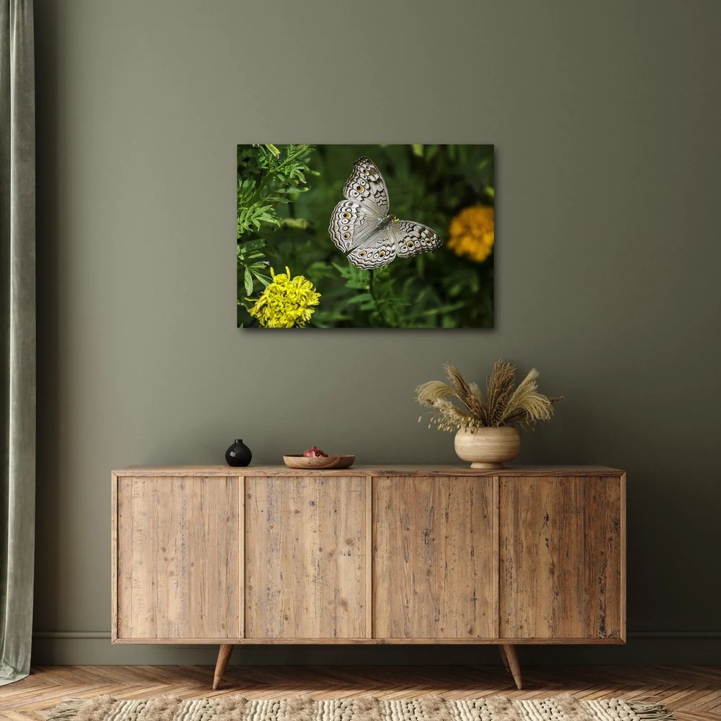 Kép - fehér pillangó (70x50 cm)