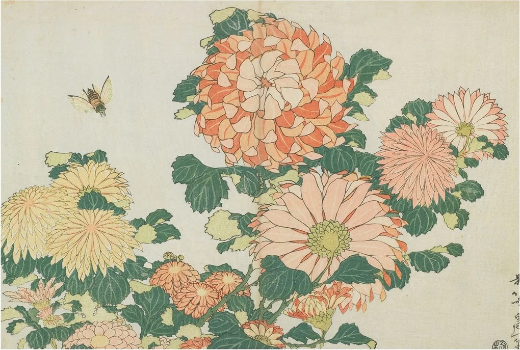 Stílusos Dekoratív Fotótapéta Flizelin Virágok Krizantém 104x70 Ragasztó