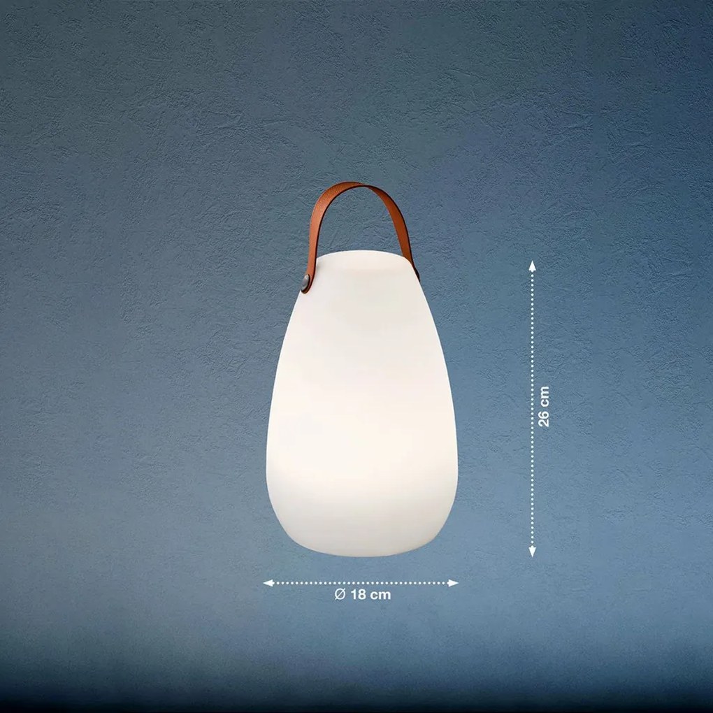 FISHER&HONSEL 850143 RUBY Kültéri Dekorációs Lámpa LED IP44