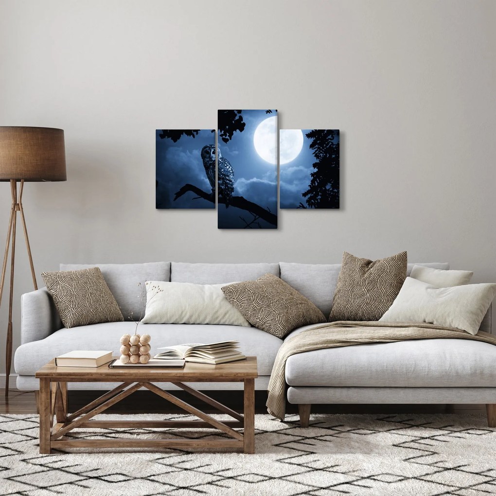 Kép - Éjszakai bagoly (90x60 cm)