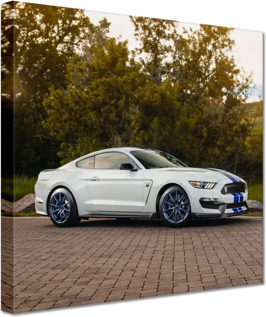 Vászonkép 60x60 Ford Mustang Usa autó