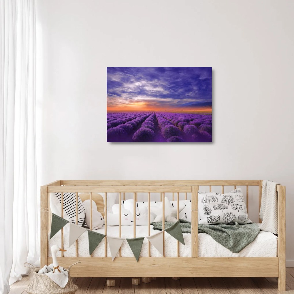 Egy levendula mező képe (üvegen) (70x50 cm)