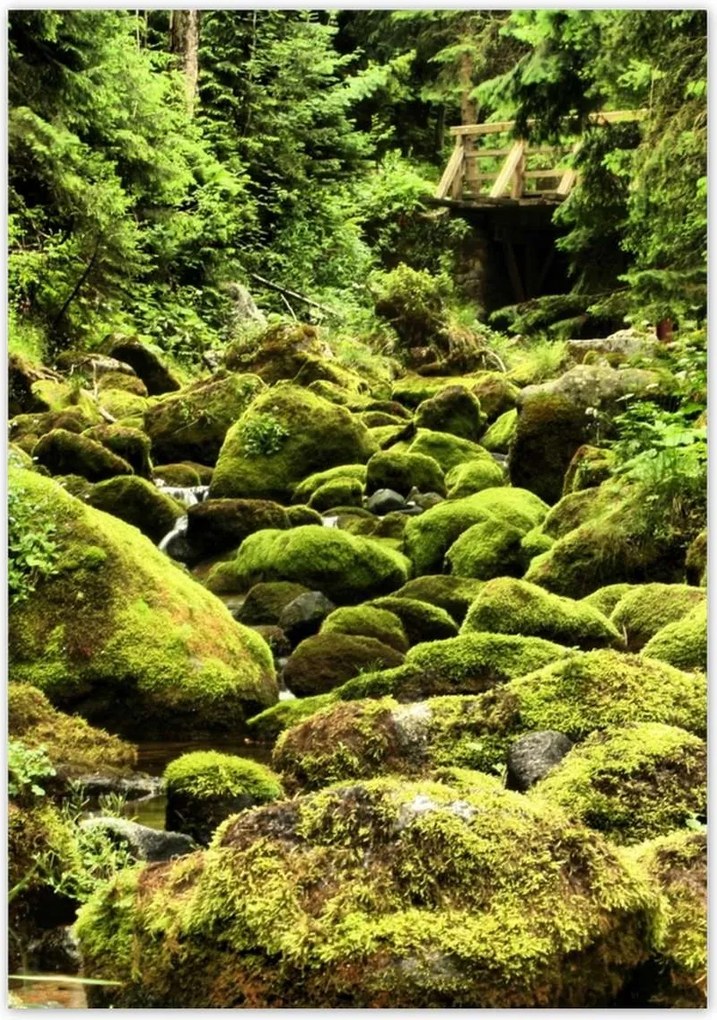 Poszterek 70x100 Tátra Lengyel hegyek Kilátás