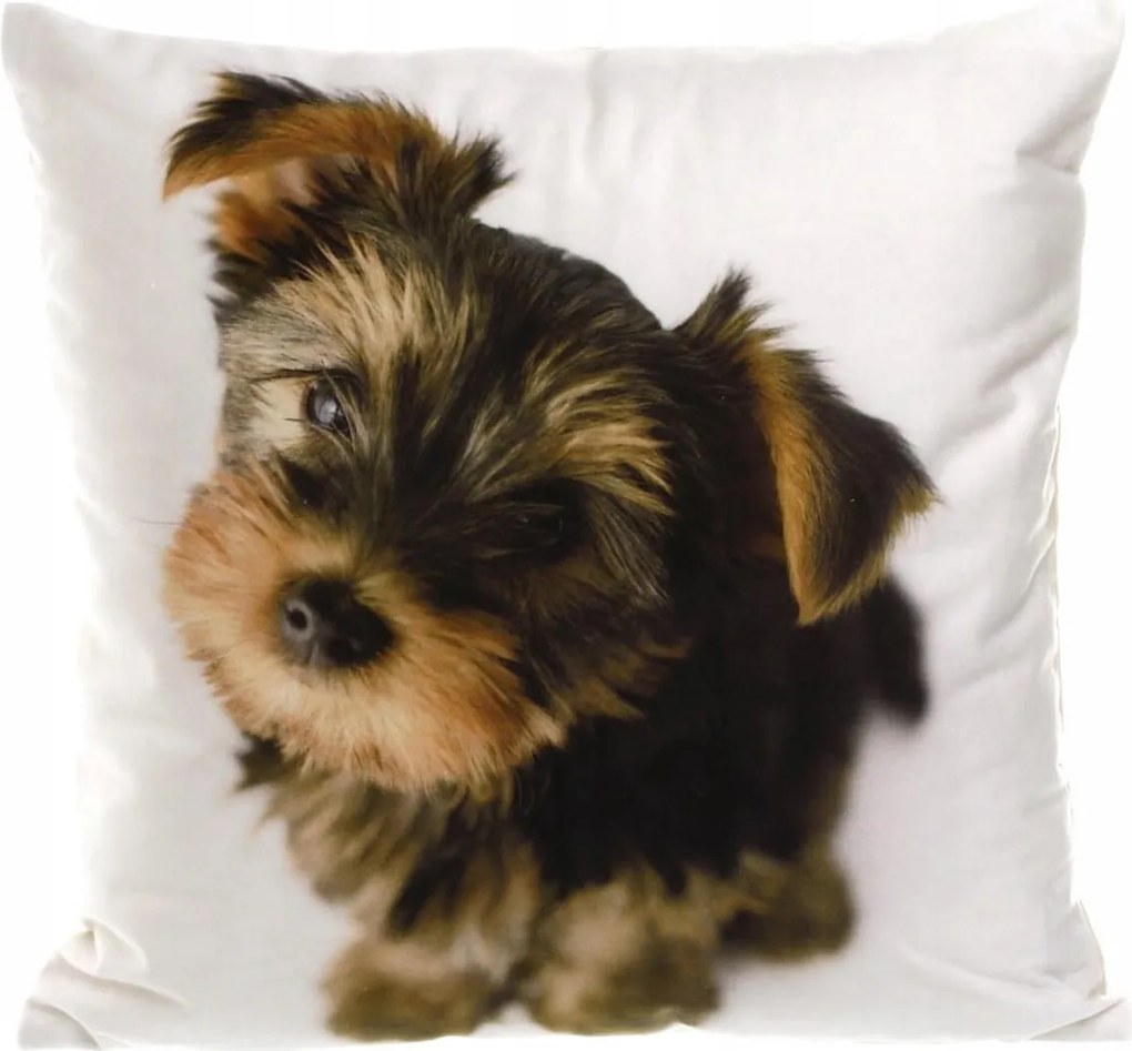 Velúr párnahuzat 40x40 cm Színes Kutya Dekoratív Párnahuzat