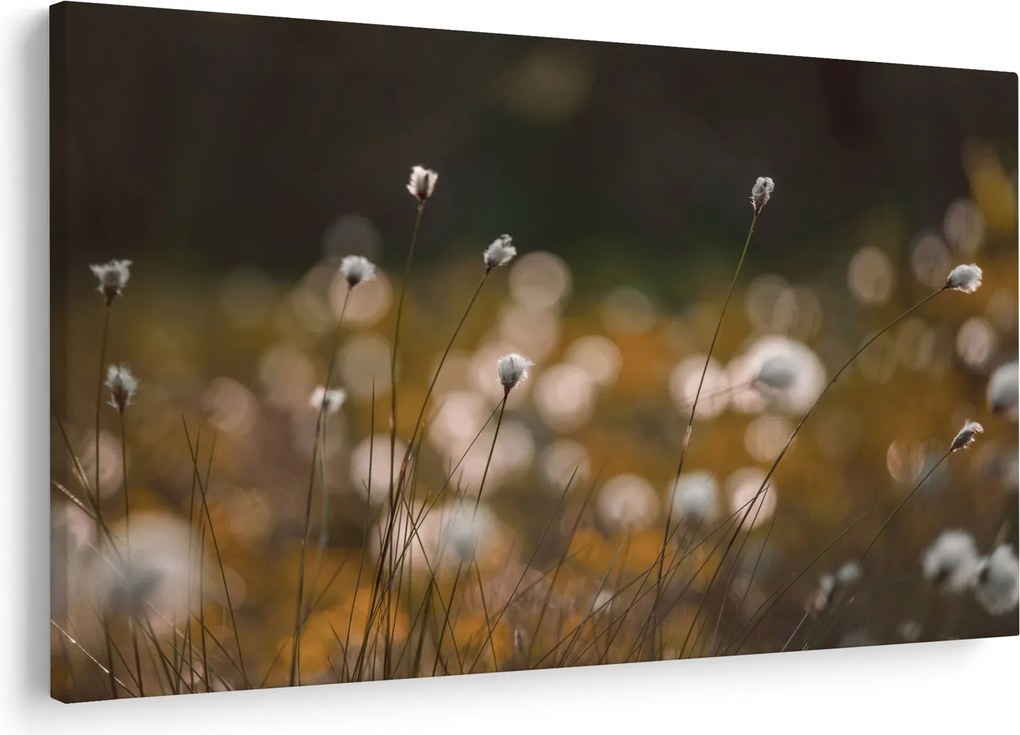 Kép - Gyapotfűvel borított rét N⁰2 (90x60 cm)