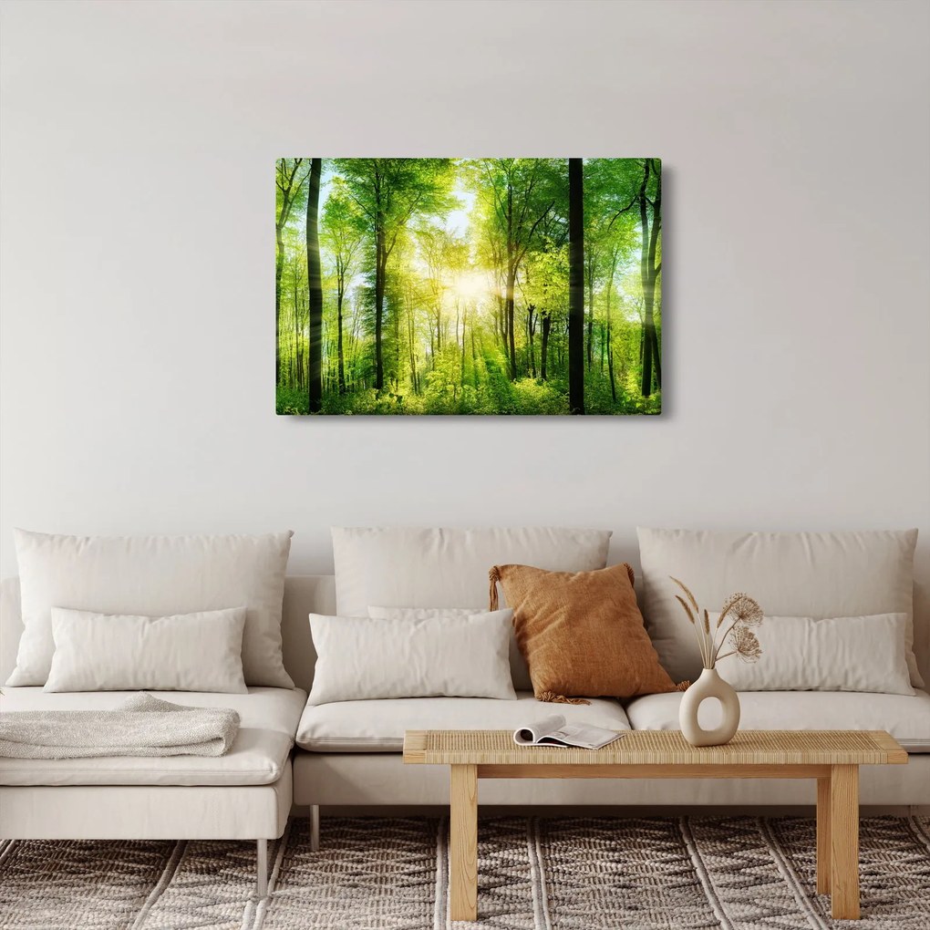 Kép - Hajnal az erdőben (90x60 cm)