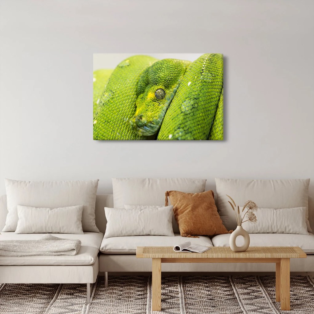 Kígyó képe (90x60 cm)