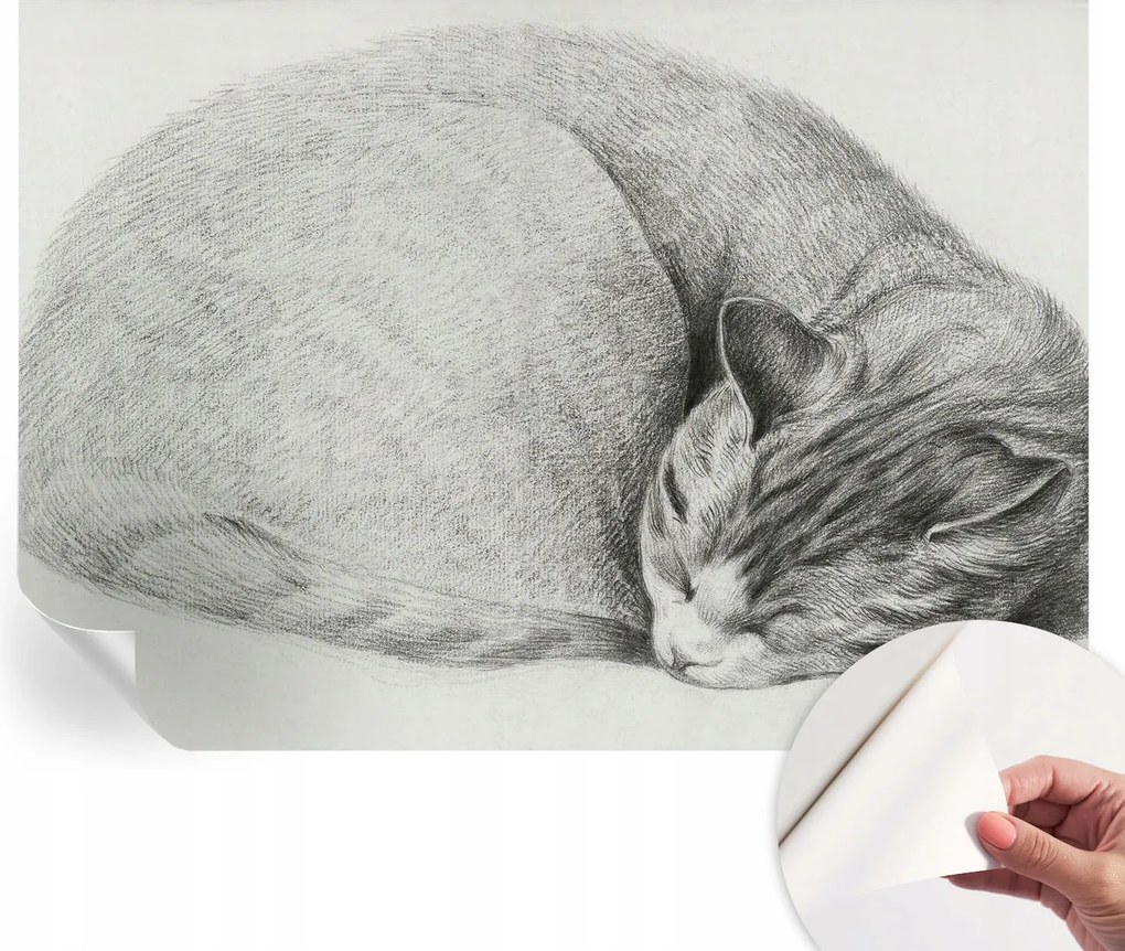 Design fali fotótapéta öntapadós összecsukható macska 312x219 cm