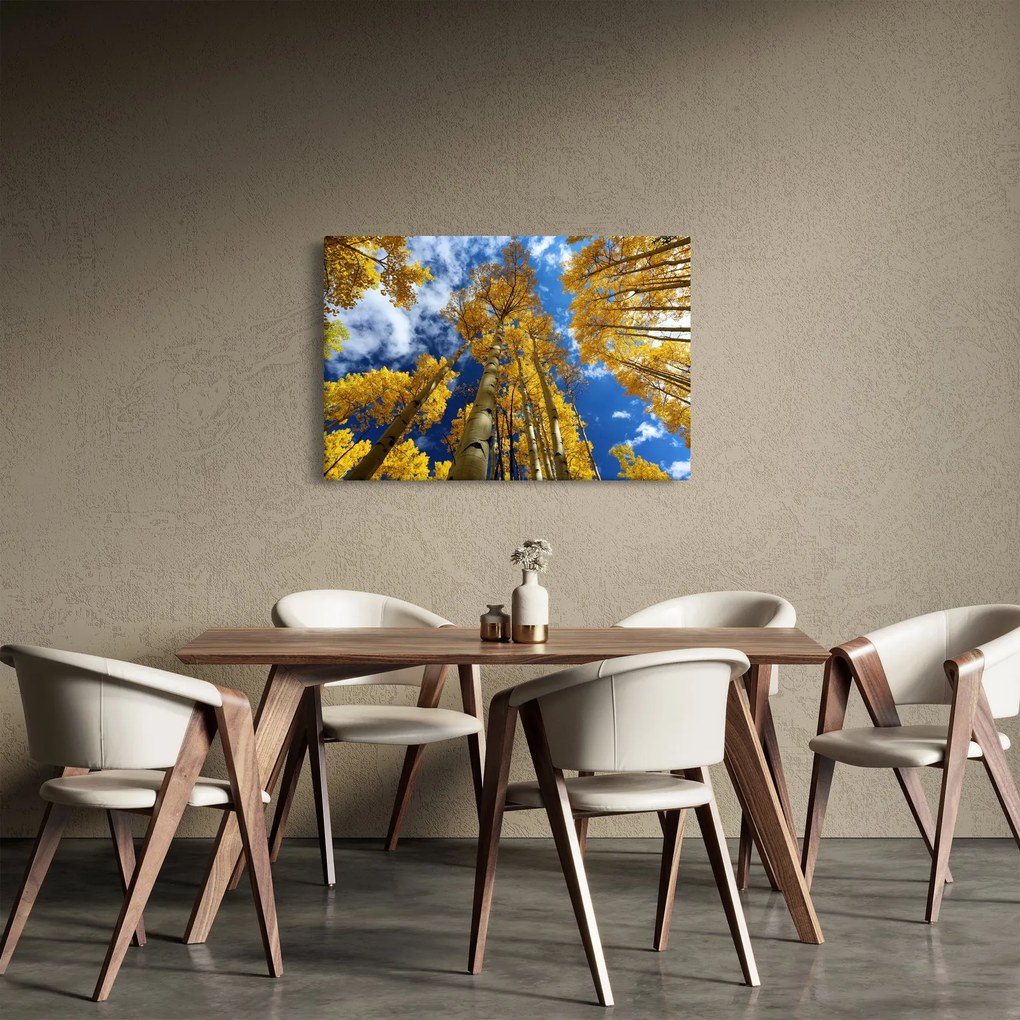 Kép - Aspen (90x60 cm)