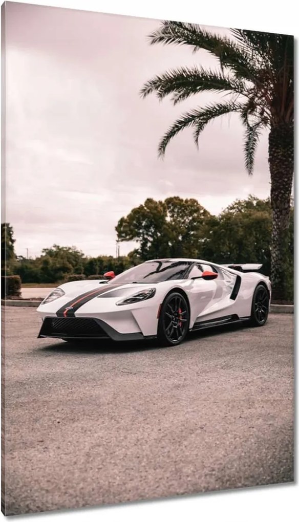 Vászonkép 80x120 Ford autó