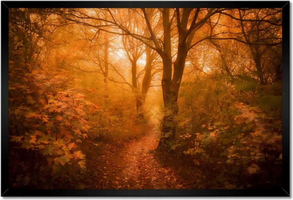 Poszterek keretben 60x40 Tájkép Látvány