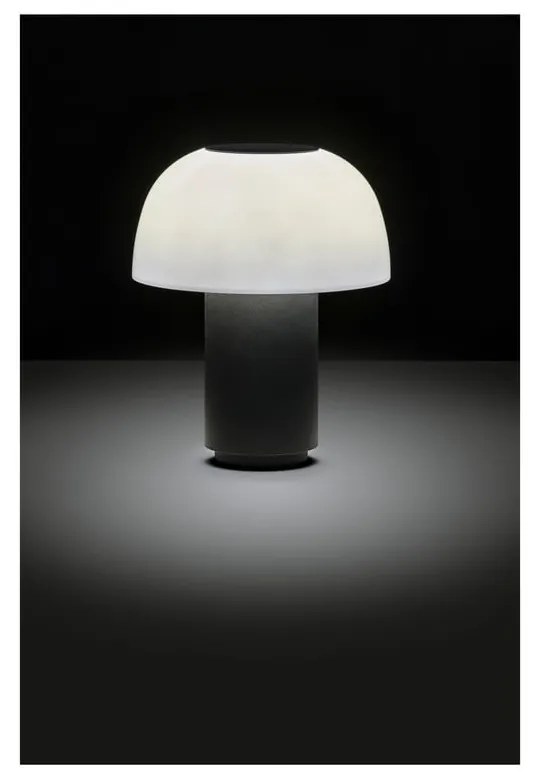 Fekete alumínium LED dimmelhető asztali lámpa (magasság 22 cm) Harvest – Zone