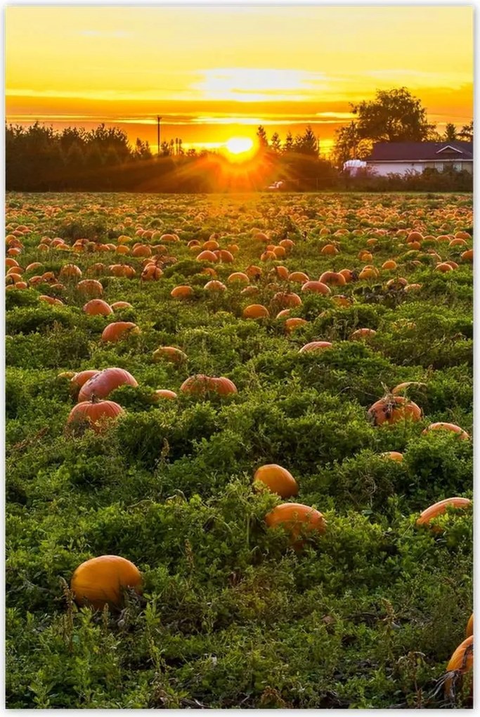 Poszterek 80x120 Tájkép Látvány