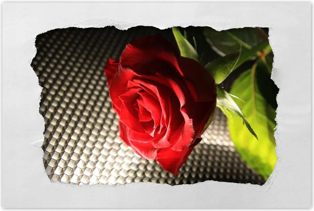 Poszter 60x40 Ízléses rózsa ajándékba