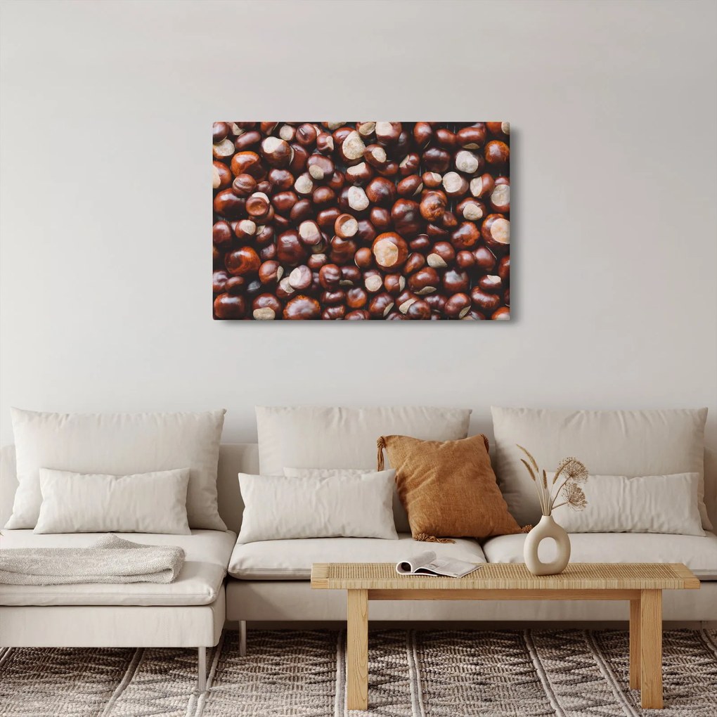 Kép - Érett gesztenye (90x60 cm)